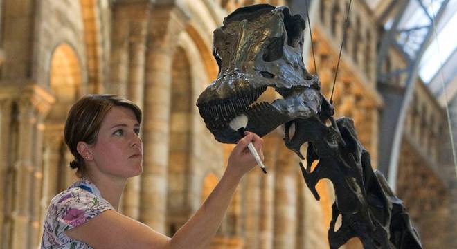 Especialista em exibições Helen Walker limpa o dinossauro Dippy; esqueleto será levado para turnê nacional Especialista em exibições Helen Walker limpa o dinossauro Dippy; esqueleto será levado para turnê nacional