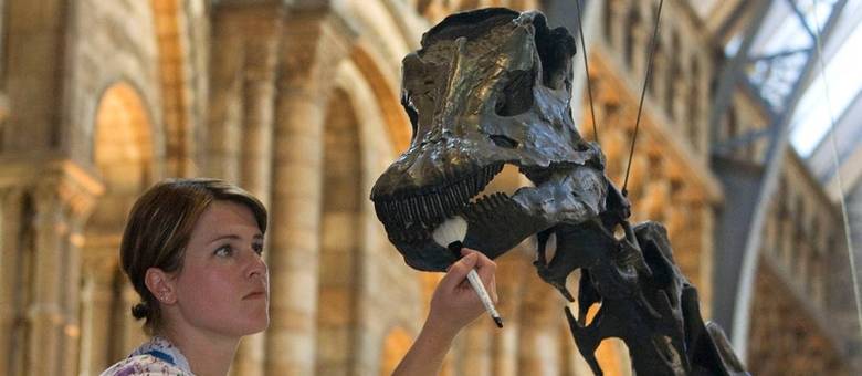 Especialista em exibições Helen Walker limpa o dinossauro Dippy; esqueleto será levado para turnê nacional