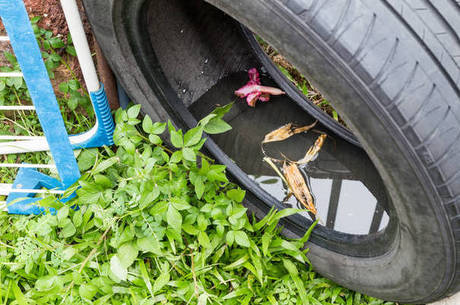 Evitar o acúmulo de água parada em pneus e outros reservatórios é um cuidado a ser tomado tanto dentro de casa quanto nas viagens de verão