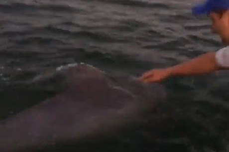 Depois de salvar o golfinho, a canoa havaiana onde o professor estava com os alunos ficou presa às redes