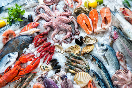 Resultado de imagem para frutos do Mar