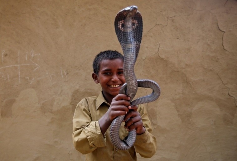 Jogos Do Encantador De Serpente Com Cobra Indiana Imagem de Stock