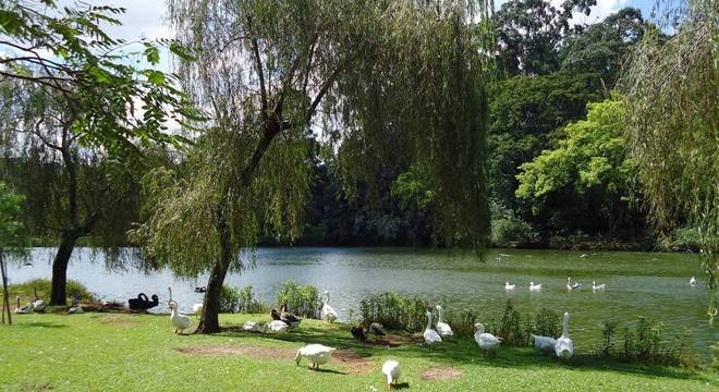 Parque Ibirapuera está em edital para a concessão de 35 anos
