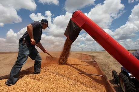 Produção de riquezas na agropecuária teve queda de 3,6% em 2016