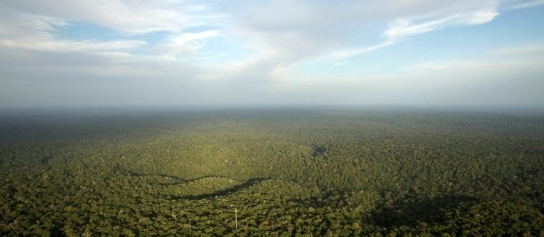Crescente nível de secas poderá reduzir a floresta em quase 40%