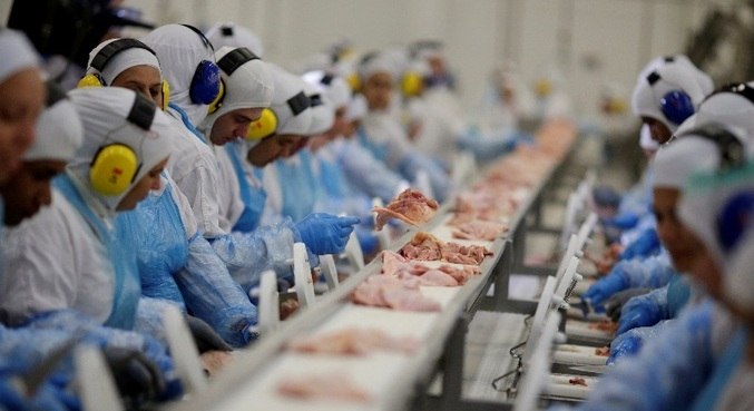Indústria de alimentos responde por 24,1% da indústria no Brasil e 23% dos trabalhadores
