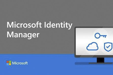 Microsoft identity extensions что это за программа