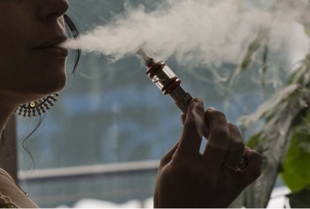 Veja o bizarro caso da barata fumando bituca de cigarro - CenárioMT