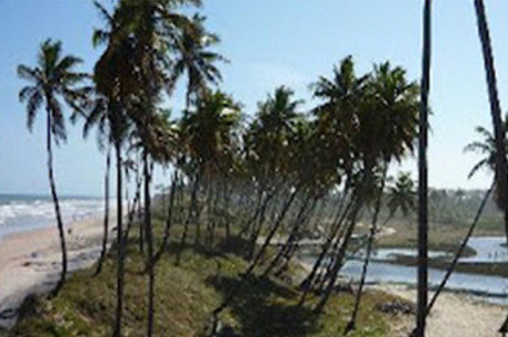 sexo em praia de nudismo www loboporno com sexo em praia de nudismo www loboporno com