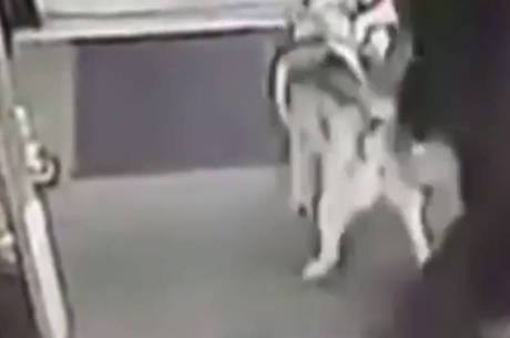 Câmeras de segurança capturaram o ataque