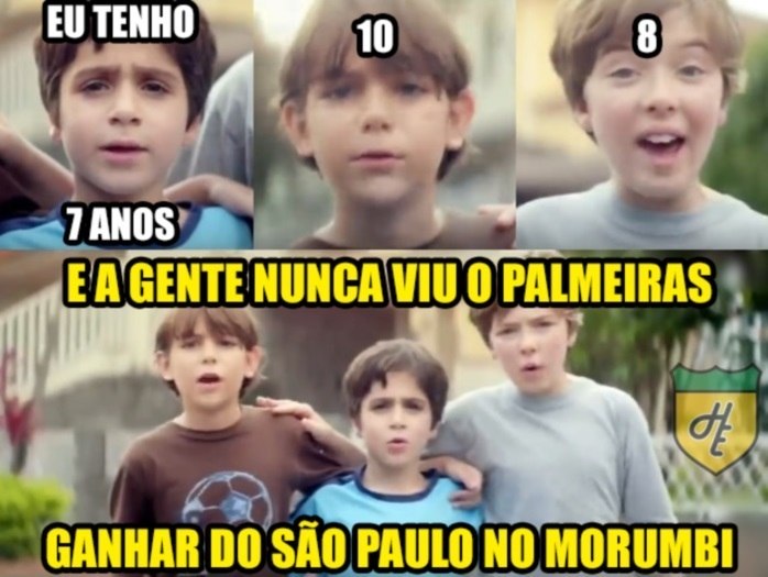 Eliminação do Palmeiras rende memes e piadas nas redes sociais; confira os  melhores - Fotos - R7 Fora de Jogo