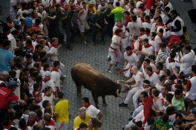 O que acontece com os touros que morrem nas touradas da Espanha? - Mega  Curioso