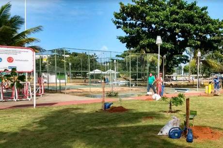 O segundo pomar urbano de Salvador será desenvolvido nesta sexta-feira (28), na Praça Guaratuba, em Stella Maris O segundo pomar urbano de Salvador será desenvolvido nesta sexta-feira (28), na Praça Guaratuba, em Stella Maris