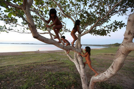 Indígenas do Xingu: terras indígenas estão entre as áreas preservadas da Renca