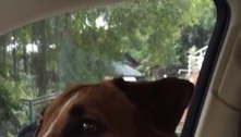 Rafa Vitti se derrete por cachorrinho que adotou com Tata Werneck