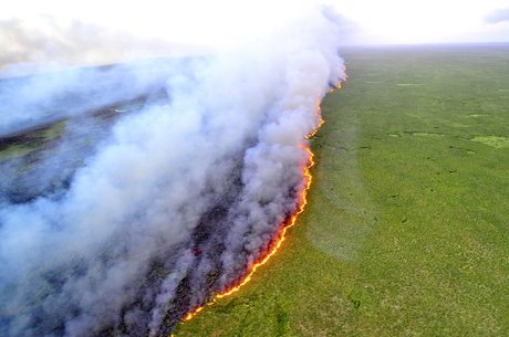 Número de queimadas foi recorda na Amazônia nos últimos dois anos