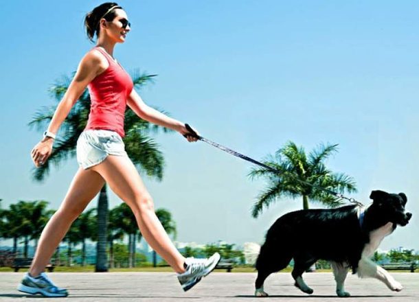 Como prevenir a labirintite?&Acirc;&nbsp;H&Atilde;&iexcl;bitos de vida saud&Atilde;&iexcl;veis, alimenta&Atilde;&sect;&Atilde;&pound;o adequada e controle de doen&Atilde;&sect;as de base, como hipertens&Atilde;&pound;o, diabetes, disfun&Atilde;&sect;&Atilde;&micro;es tireoidianas e hormonais, s&Atilde;&pound;o importantes para evitar o mau funcionamento do labirinto