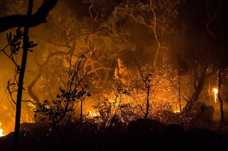 Ao todo, chamas atingiram 65 dos 240 mil hectares do parque