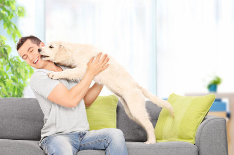 cão beijando o dono