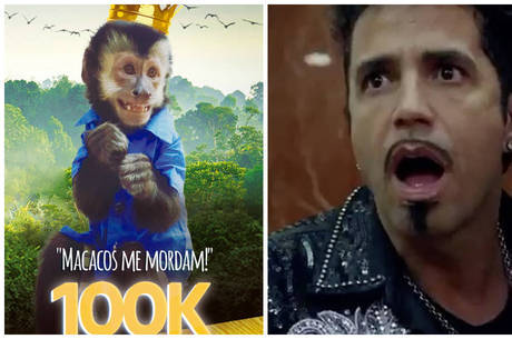 Twelves é um macaco prego master e está com 4 anos Twelves é um macaco prego master e está com 4 anos