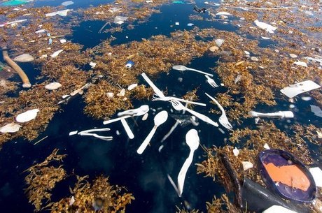 Materiais de plástico se acumulam em 'ilha de lixo' próximos à Roatán, ilha turística de Honduras