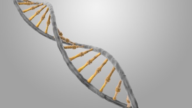 Outro exame que ajuda no diagnÃ³stico de doenÃ§as raras Ã© o sequenciamento completo do Exoma, um exame de sangue capaz de identificar doenÃ§as genÃ©ticas causadas por mutaÃ§Ãµes na sequÃªncia do DNA. De acordo com o mÃ©dico JoÃ£o Gabriel Daher,Â coordenador de genÃ©tica do LaboratÃ³rio Lafe, com o teste Ã© possÃ­vel avaliar se pacientes que apresentam atraso de desenvolvimento ou alguma malformaÃ§Ã£o sem um diagnÃ³stico definitivo possuem alguma doenÃ§a genÃ©tica. 'Isso evita uma desgastante sucessÃ£o de consultas em busca de um diagnÃ³sticoâ€, explica o mÃ©dico. Veja a seguir quais sÃ£o as doenÃ§as raras como maior incidÃªncia no Brasil