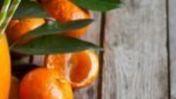 7 Benefícios do Suco de Tangerina – Como Fazer, Receitas e Dicas