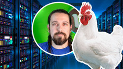 Em vídeo, explicamos a nova forma de exploração de animais que parece ‘data center de ovos’