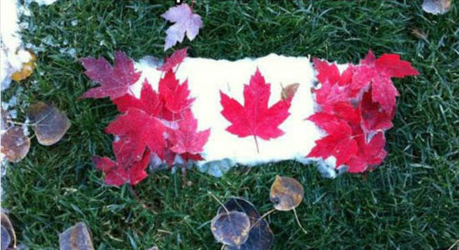 Canadá pretende receber mais de 330 mil imigrantes por ano até 2021 Canadá pretende receber mais de 330 mil imigrantes por ano até 2021