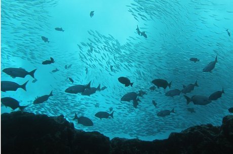 O Ministério do Meio Ambiente enviará um decreto à Presidência para a criação de uma unidade de conservação em torno da cordilheira 