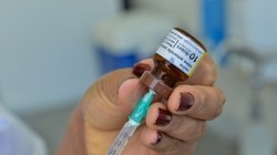 São Bernardo do Campo adia volta às aulas por causa da febre amarela