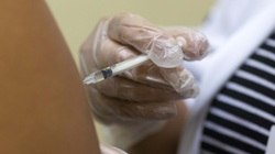 Nova vacina de febre amarela da Fiocruz está em análise  
