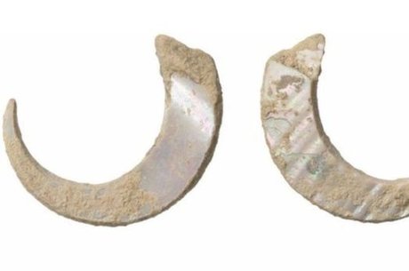 Ferramentas criadas pelo corvo da Nova Caledônia