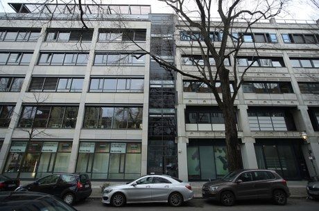 EUGT teria exposto 10 macacos a fumaça de escapamento