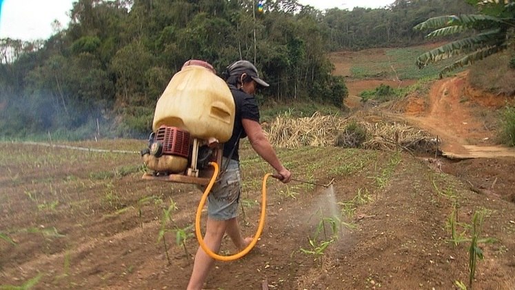 Sufocado por agrotóxicos perigosos, Brasil tem de