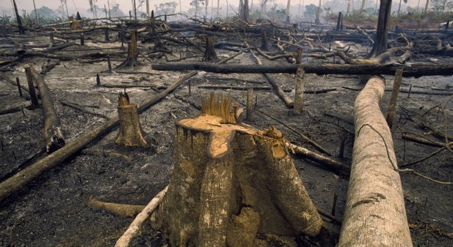 "Neste ritmo, vamos negociar a Amazônia inteira", dizem autores do estudo