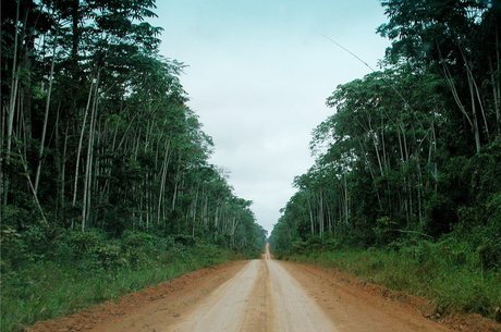 Em Rondônia, proteções foram reduzidas ou removidas