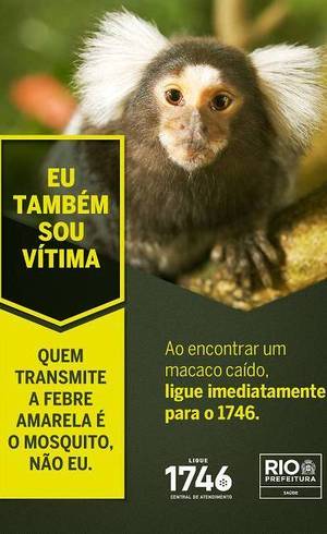 Campanha da Vigilância Sanitária Campanha da Vigilância Sanitária