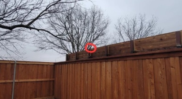 Um homem chamou atenção nas redes sociais ao compartilhar o fato de ter a privacidade violada por um vizinho, que aumentou a cerca que divide as propriedades de cada um e instalou uma câmera para espionar o seu quintal