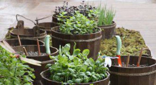 25601- jardim pequeno -juliana-freitas-viva-decora