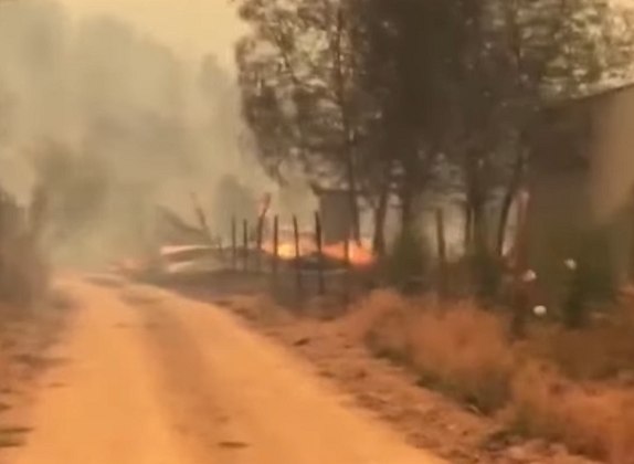 30 de janeiro: Incêndios florestais de grande proporção que atingiram o sul do Chile deixaram um rastro de destruição, causando a morte de 24 pessoas e deixando quase mil feridos.