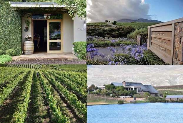 4ª – A vinícola de Criação fica na cidade de Walker Bay, na África do Sul. Os visitantes são incentivados a explorar o terreno que conta com diversas obras de arte, que incentiva os artistas locais com frequentes exposições no espaço 