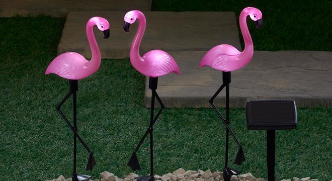 4 coisas que você precisa saber agora mesmo sobre os flamingos