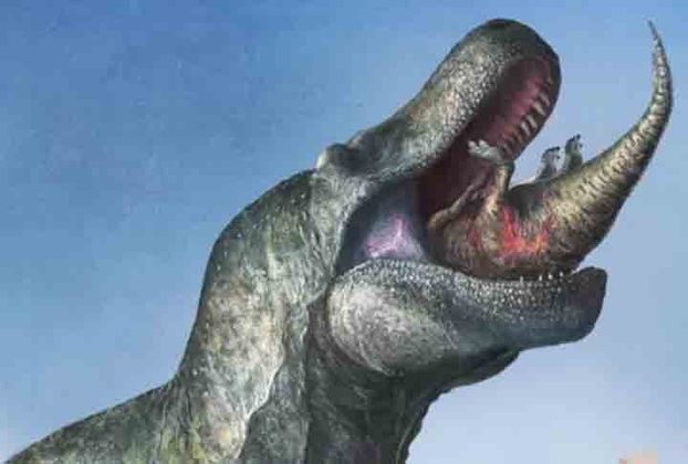 4ª - Uma equipe de paleontólogos chegou a conclusão de que o Tyrannosaurus rex e outros dinossauros carnívoros provavelmente tinham uma boca diferente do que se suspeitava, com lábios que cobriam seus formidáveis dentes. 