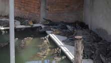 Idoso cai em criadouro, é destroçado e devorado vivo por 40 crocodilos no Camboja