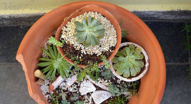 44026- jardim pequeno -henrique-vital-viva-decora