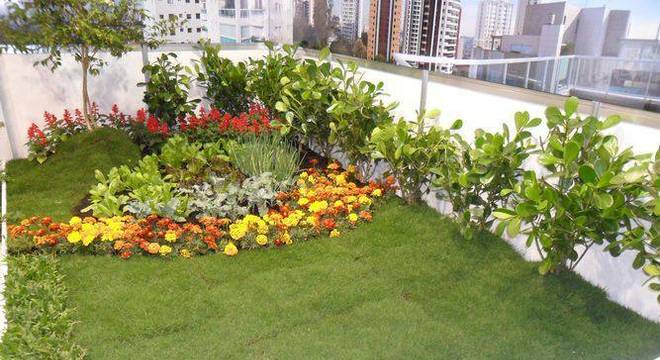 49181- jardim pequeno -sueli-porwjan-viva-decora