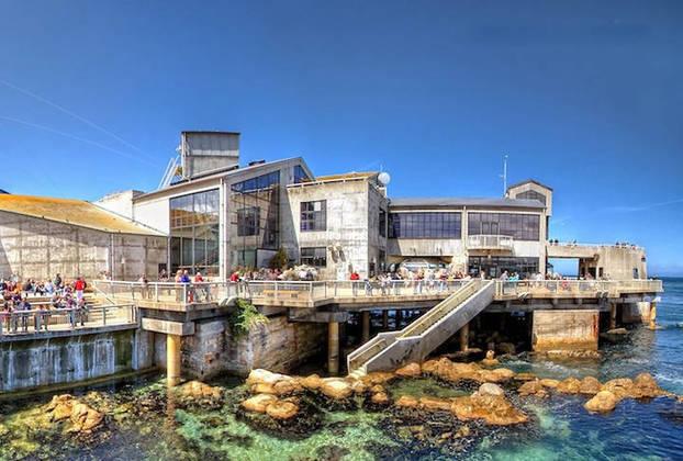 6º lugar - Monterey Bay Aquarium - Fica na cidade de Monterey, na Califórnia (EUA) -  Inaugurado em 1984. 