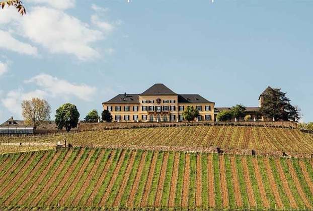 8ª - Schloss Johannisberg é um castelo e vinícola na vila de Johannisberg, no distrito de Rheingau, na Alemanha. A produção de vinho ocorre no local há mais de 1.200 anos. O sugerido é começar com uma visita ao palácio do século XVIII antes do almoço 