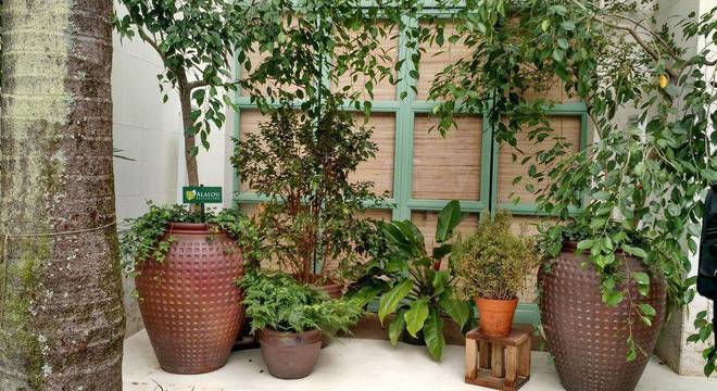 94376- jardim pequeno -alalou-paisagismo-viva-decora-94376
